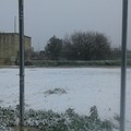 Nevicata a Giovinazzo: LE FOTO