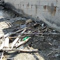 Spiagge sporche in località Trincea: i bagnanti non ci stanno