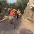 Tutti gli appuntamenti per un sabato diverso a Giovinazzo