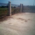 Ripulite dai rifiuti la statale 16 e le piazzole spartitraffico di via Bitonto