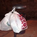 Quelle insopportabili buste appese al cestino di via Sindolfi