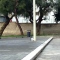Ancora sacchetti di rifiuti abbandonati sotto il cavalcaferrovia