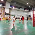 Volley Ball, riparte la D. L'obiettivo del club: «Disputare un buon campionato»