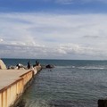 Rimosso ordigno bellico dal Porto Vecchio di Giovinazzo