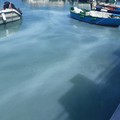 Chiazza bianca sospetta nel porto di Giovinazzo: si cerca l'origine