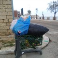 Cartolina da Giovinazzo: un carrello della spesa pieno di rifiuti a Levante