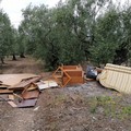 Rifiuti ed inciviltà in Contrada Santa Lucia