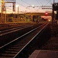 Investimento ferroviario a Trani: circolazione sospesa e treni in ritardo da e per Giovinazzo