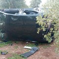 Fra gli ulivi di Giovinazzo l'ennesima centrale per il riciclaggio di auto