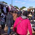 Il 30 novembre a Giovinazzo c'è il mercato settimanale straordinario