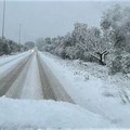 Fiocchi all'alba anche a Giovinazzo. La situazione neve nel Barese