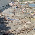 Domenica al mare... tra i tronchi della Romagna