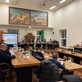 Vicenda Giangregorio, Viva Network racconta tutti i passaggi