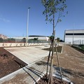 In via delle Filatrici un nuovo spazio per giochi ed attività fisica - VIDEO