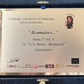 In memoria della  "Cara Maestra " Amelia Serrone