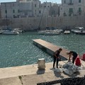Nuovi pontili nel porto di Giovinazzo: il VIDEO del sindaco Sollecito