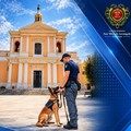 L'Unità Cinofila Antidroga della Polizia di Stato in piazza Sant'Agostino
