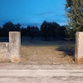 Trovato il corpo di un uomo di Molfetta nelle campagne di Giovinazzo