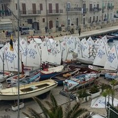 Successo per il campionato zonale Optimist
