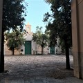 All'IVE c'è la mostra urbana “Beyond the Transition”