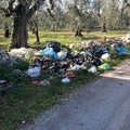 La zona del Casino della Principessa è una discarica