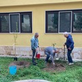 Giornata Nazionale Alberi, grande festa alla  "Bosco-Buonarroti "