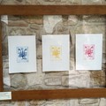 Borgo in Fiore, Emanuela Casagrande in mostra al San Martin fino al 29 giugno