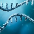 RNA auto-amplificanti: i vaccini del futuro contro le malattie infettive