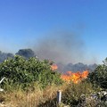 Rischio incendi, un'ordinanza di Depalma contro le sterpaglie