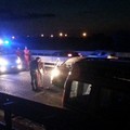 Un cane attraversa la 16 bis, tre mezzi coinvolti in un incidente
