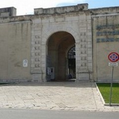 Experimenta in difesa dell'ambiente