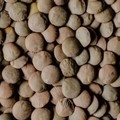 Capodanno, lenticchie "portafortuna " in 8 tavole su 10