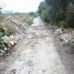 Bonifica di Lama Castello, uno studio dei ragazzi dello  "Spinelli "