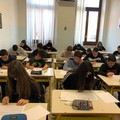 Olimpiadi di Matematica: oggi la fase distrettuale al Liceo  "Spinelli " di Giovinazzo