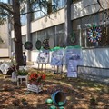 I.C. "Bavaro-Marconi " di Giovinazzo: chiusura con la Giornata dedicata alle tematiche ambientali