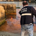 Un'alga tinge di rosso il mare, l'Arpa: «Nessun pericolo per la salute»