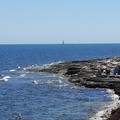 Avvocati subacquei per un giorno per amore del mare e dell’ambiente di Giovinazzo