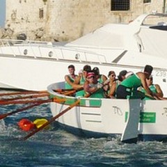 Assovogatori, tre domeniche di stage