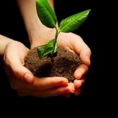 Un lumicino di speranza a disposizione delle microimprese