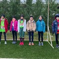 Campionati regionali di corsa campestre, Netium protagonista