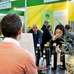 "Olio capitale ", il Gal  "Fior d’Olivi " convoca le aziende