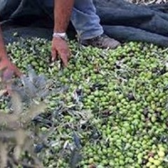 Un accordo per rendere sicure le campagne