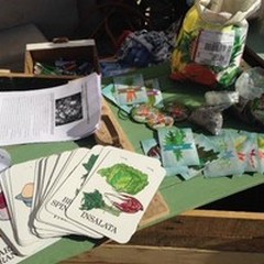  "Orto in condotta " e  "Cibiamoci ": a scuola di sana alimentazione