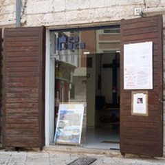 Bagarre Pro Loco Giovinazzo, le precisazioni del direttivo