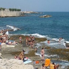 A Giovinazzo è allarme alga tossica
