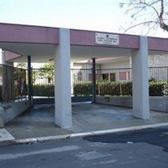 Allergie nei bambini, giovedì rimozione di alcune alberature dalla Scuola  "Papa Giovanni XXIII "
