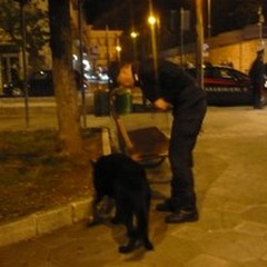 Blitz antidroga nella Villa Comunale