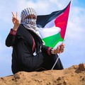 Riconoscimento della Palestina, il Consiglio comunale di Giovinazzo approva mozione opposizioni