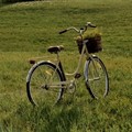 Torna "Pedalando per Casali " a Giovinazzo: sabato 1 agosto il revival della storica cicloturistica