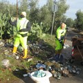 Rifiuti, ripulita dal Comune di Giovinazzo strada delle Carrare (FOTO)